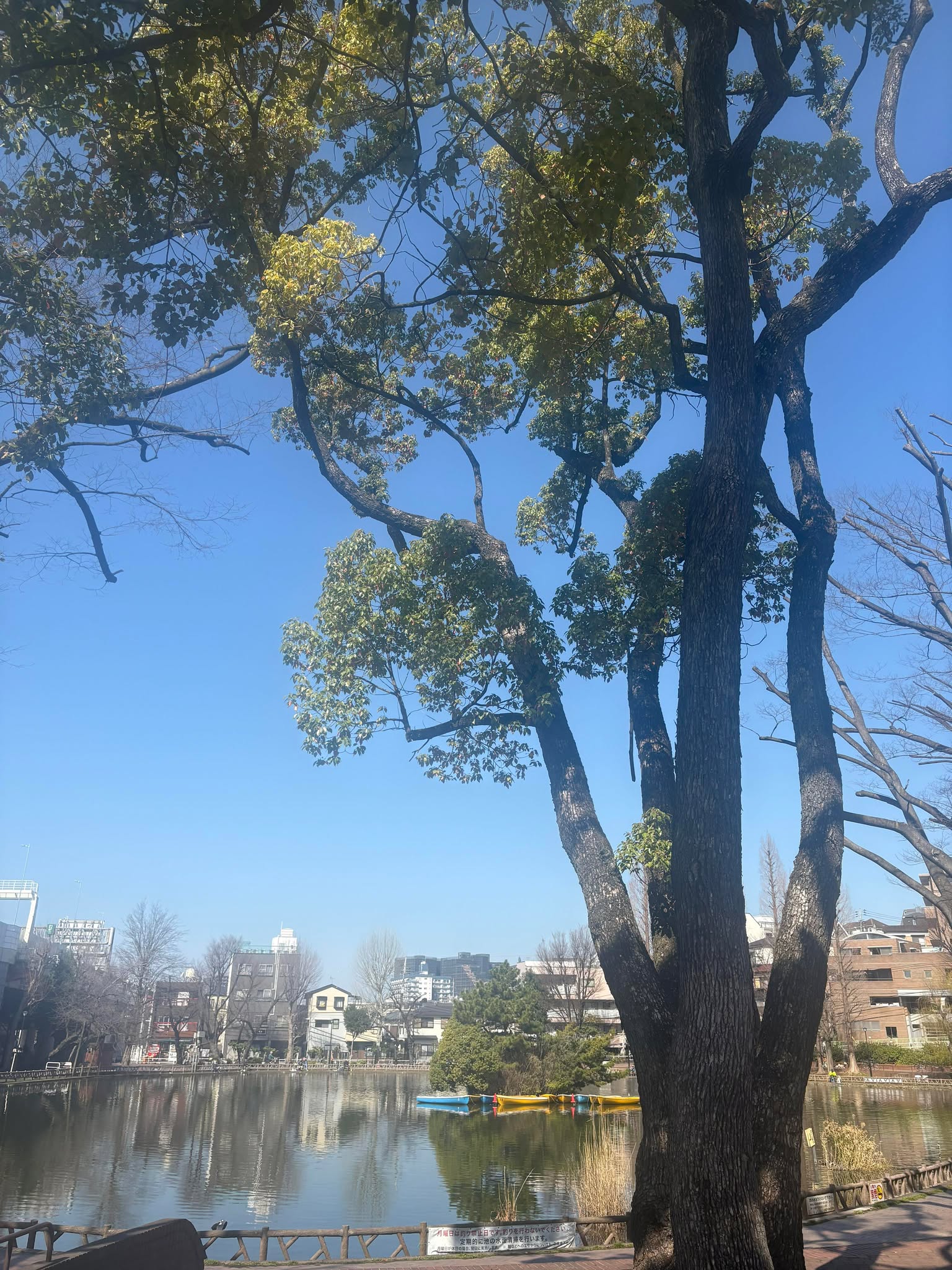 窓ガラスフィルム 窓ガラスコーティングで UVカットで守る| 東京 板橋区の窓ガラスフィルムなら合同会社エンジェルランプ